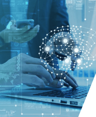 WEB System Development
